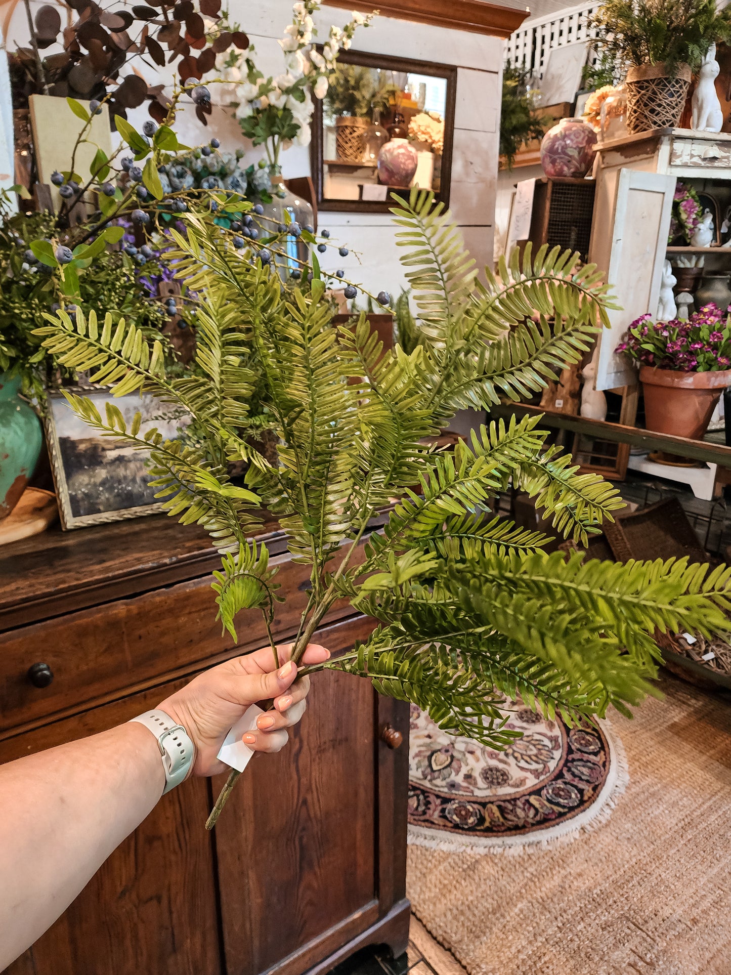 Isla Branching Fern Bush