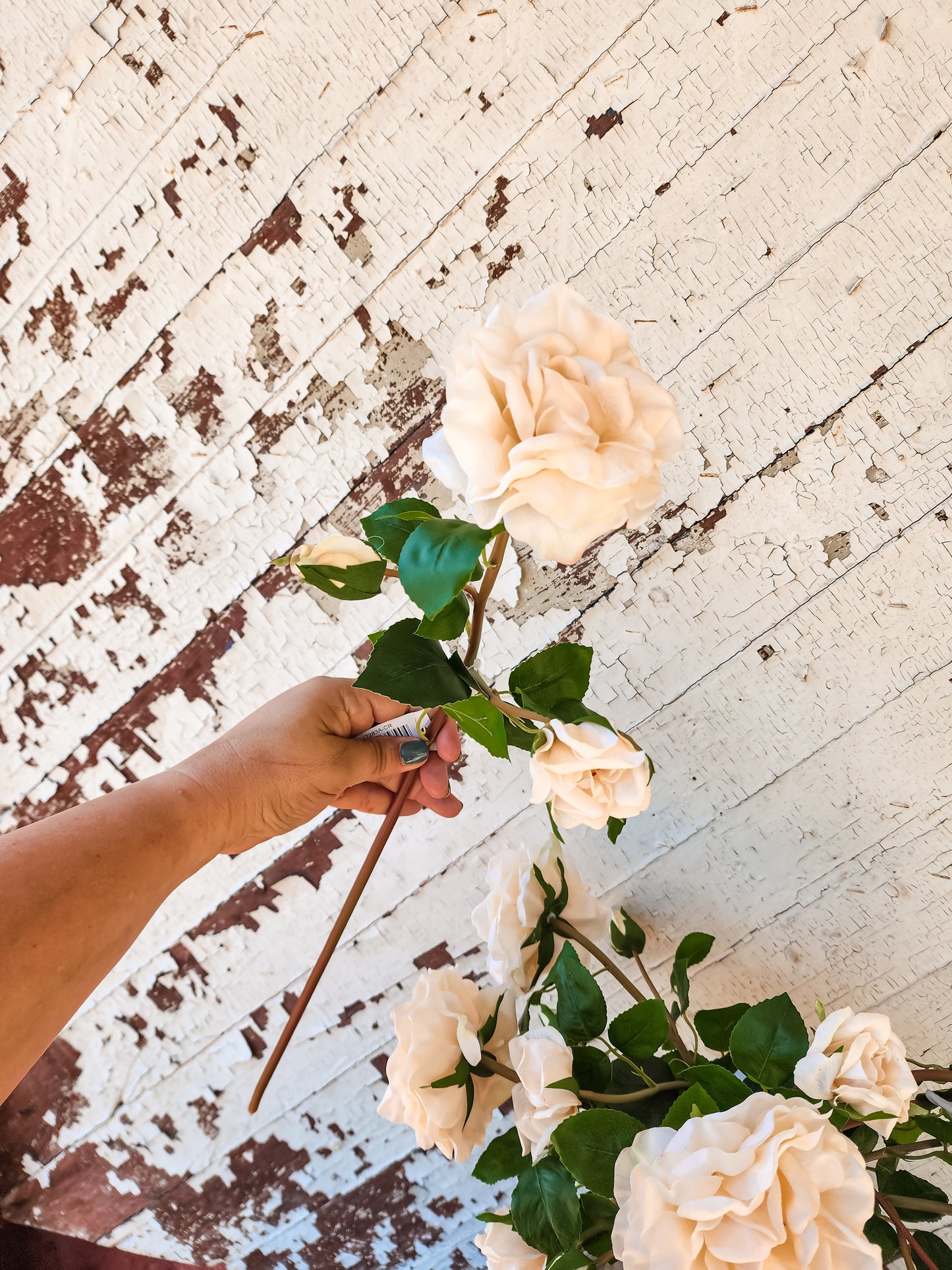 Cream Real Touch Rose