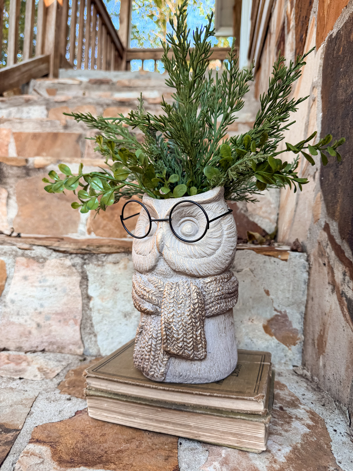 Wise Little Owl Situation