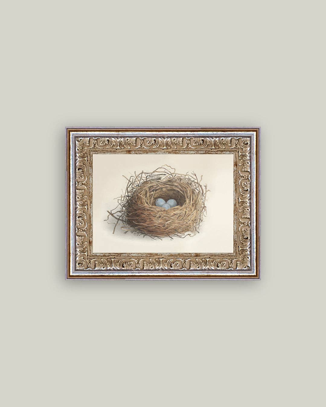 Blue Eggs in a Nest Framed Antique Art: 7x5