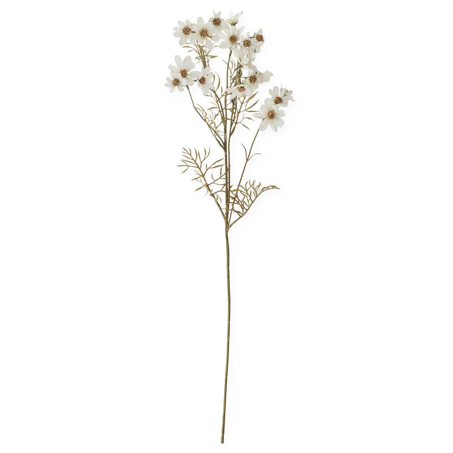 30 Inch Cream Cosmo Stem