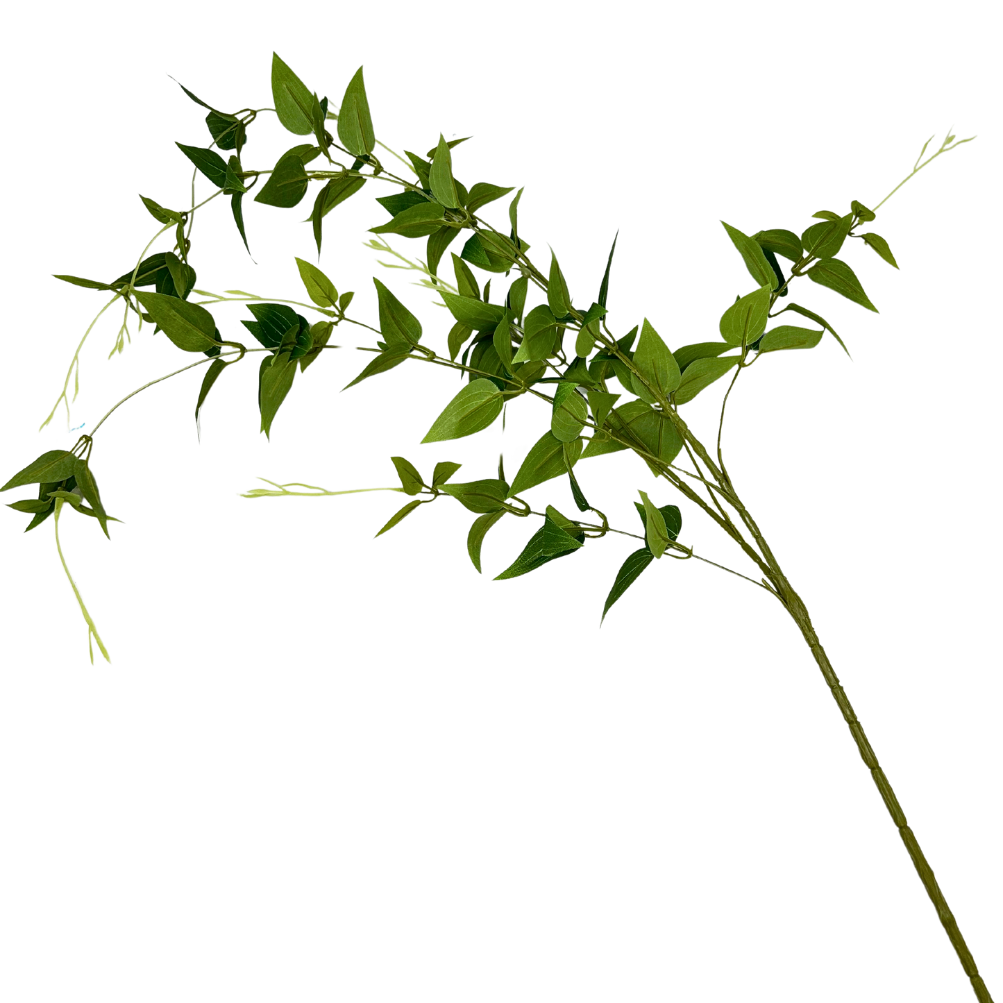 46” Clematis Leaf Spray - Two Toned Green