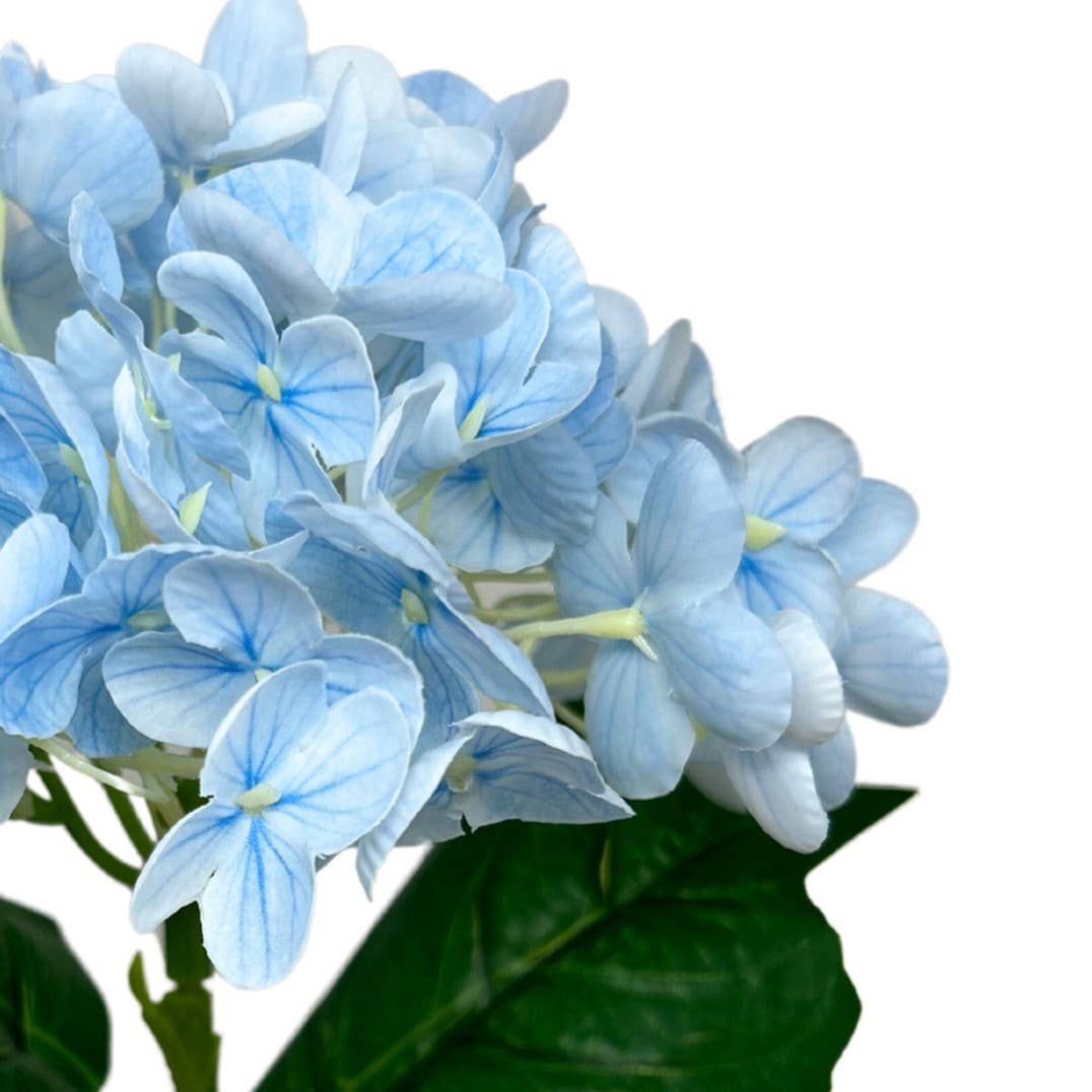 Fresh Touch Hydrangea Spray - Blue - 18”