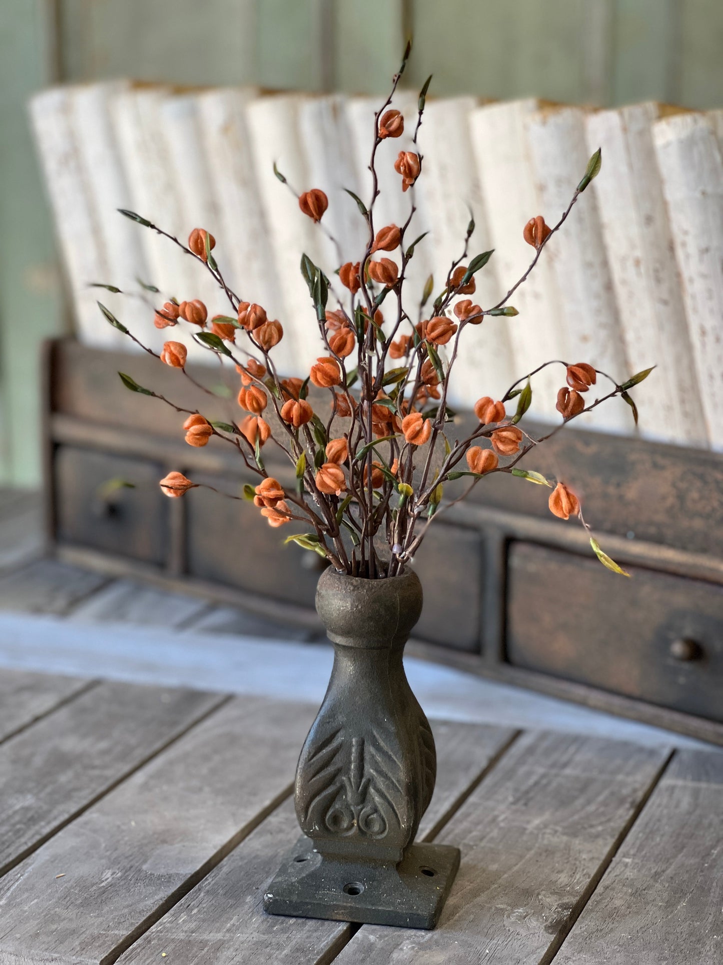 Fall Dreaming Bush (Assorted Colors)