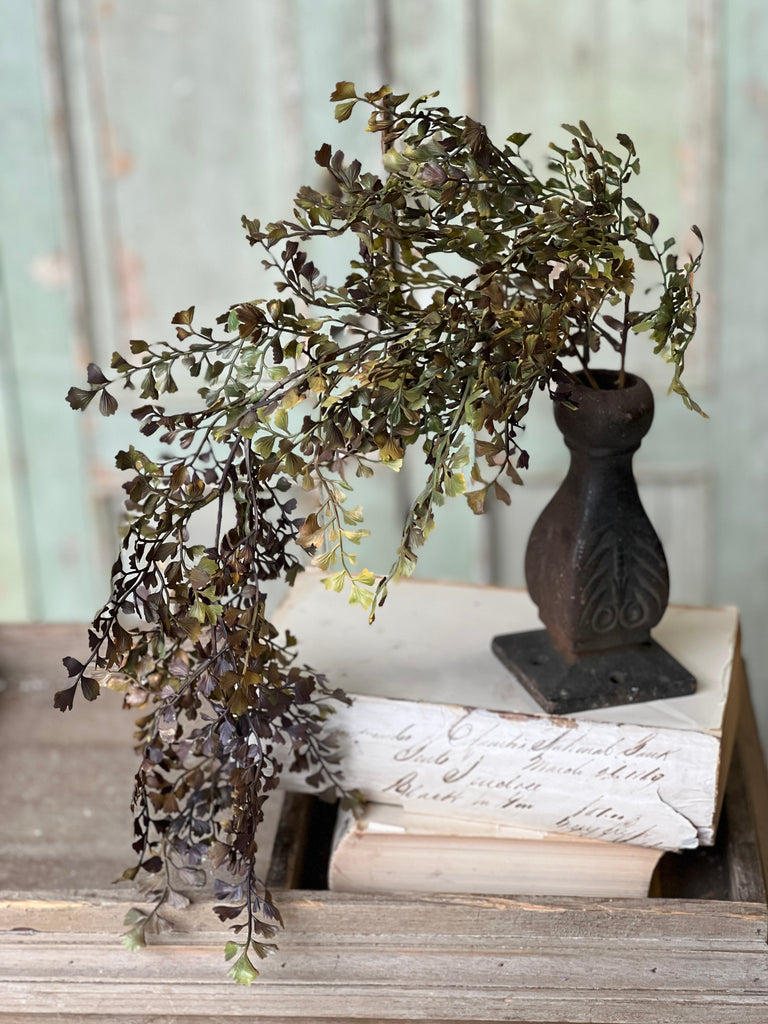 Old Meadow Collection