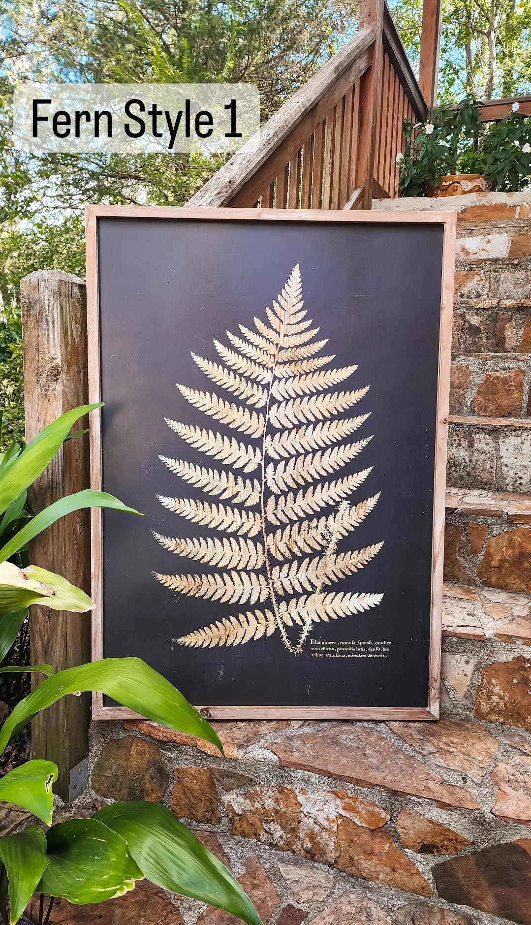 Oversized Fern Prints (2 Styles)