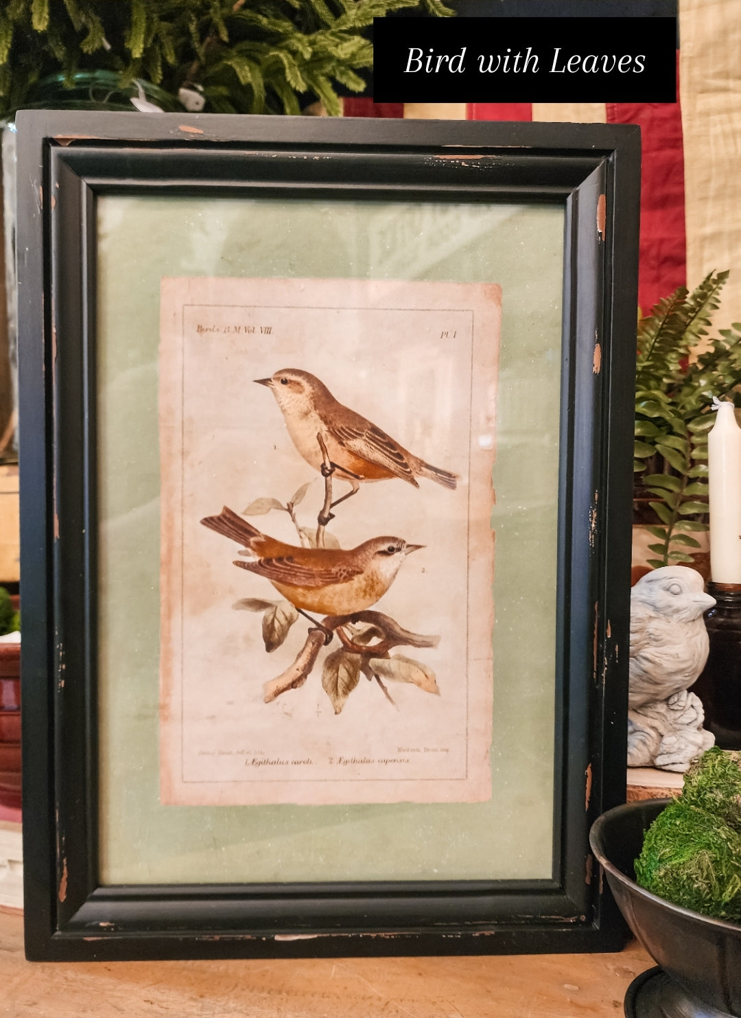 Black Framed Bird Print