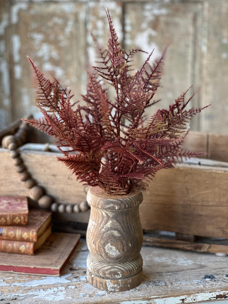 Brownlee Fern Bush