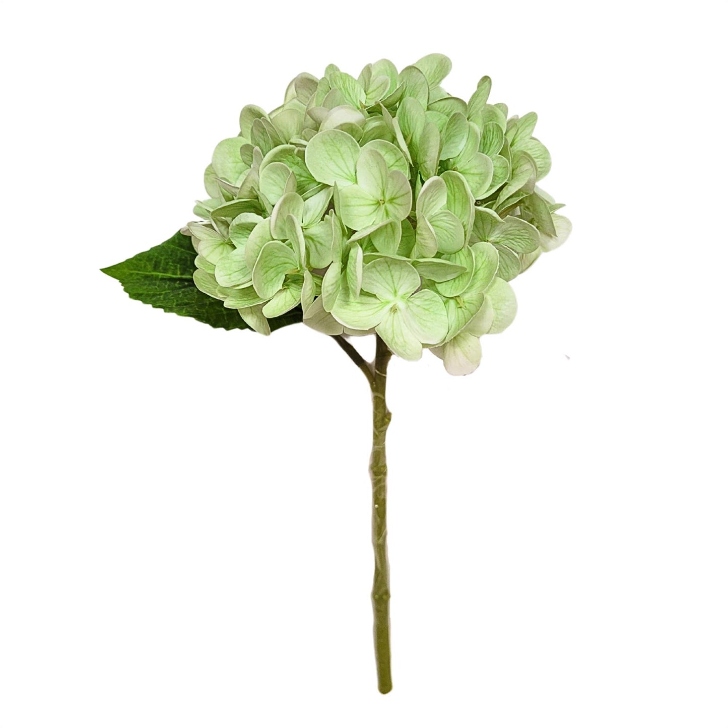Fresh Touch Hydrangea Stem 18” - Lt. Green