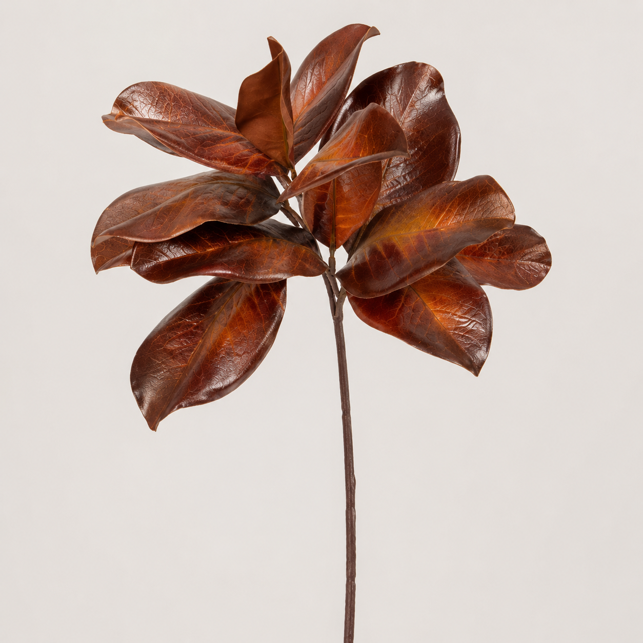 Chestnut -16" Magnolia Leaf Spray