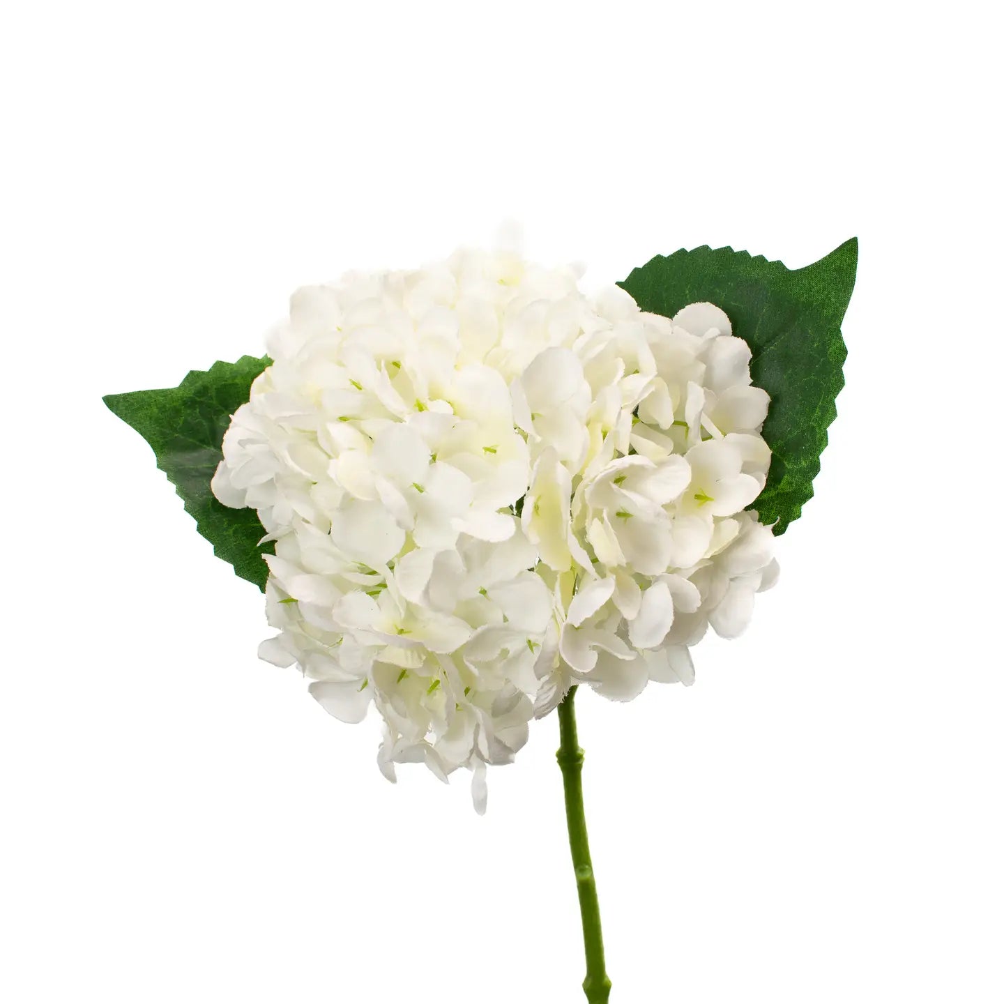 Kalli White Hydrangea Stem