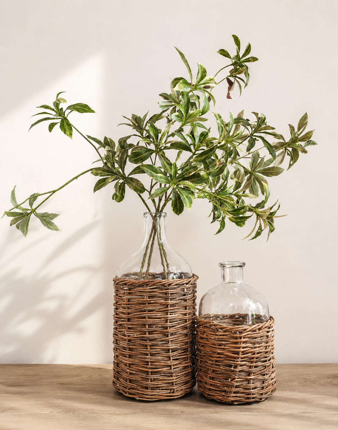 Japonica Leaf Spray