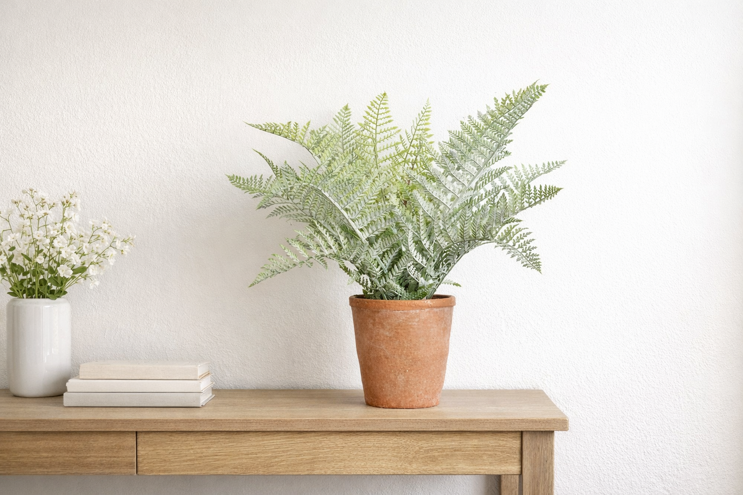 Potted Fern In Terra Cotta Pot