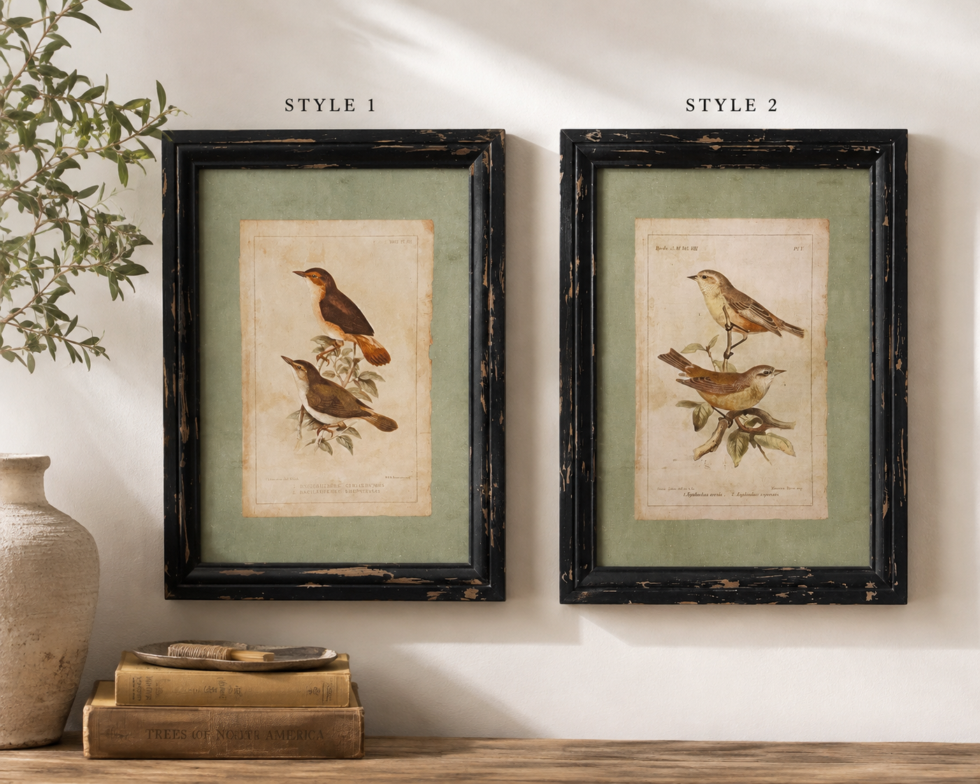 Antique Style Sage Bird Framed Print
