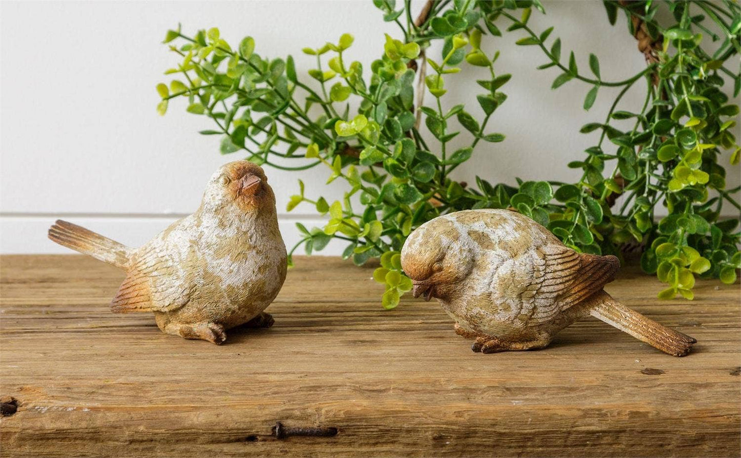 Weathered Resin Bird (Assorted)