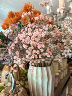 Blush Baby's Breath Bundle