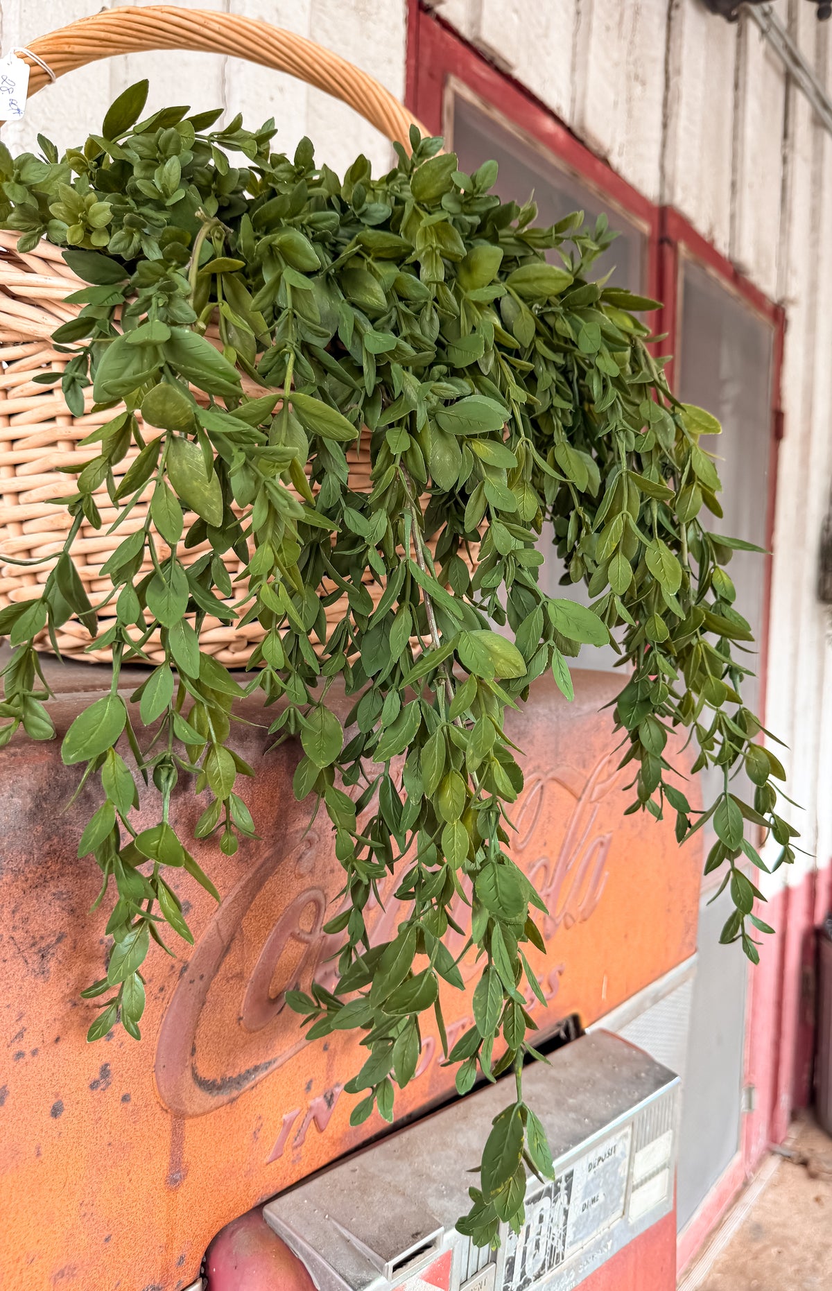 28” Mini Leaf Greenery Hanging
