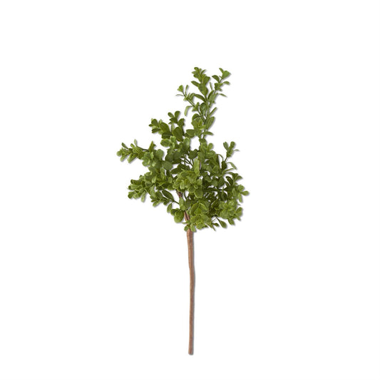 18" Real Touch Boxwood Pick | Lush Greenery