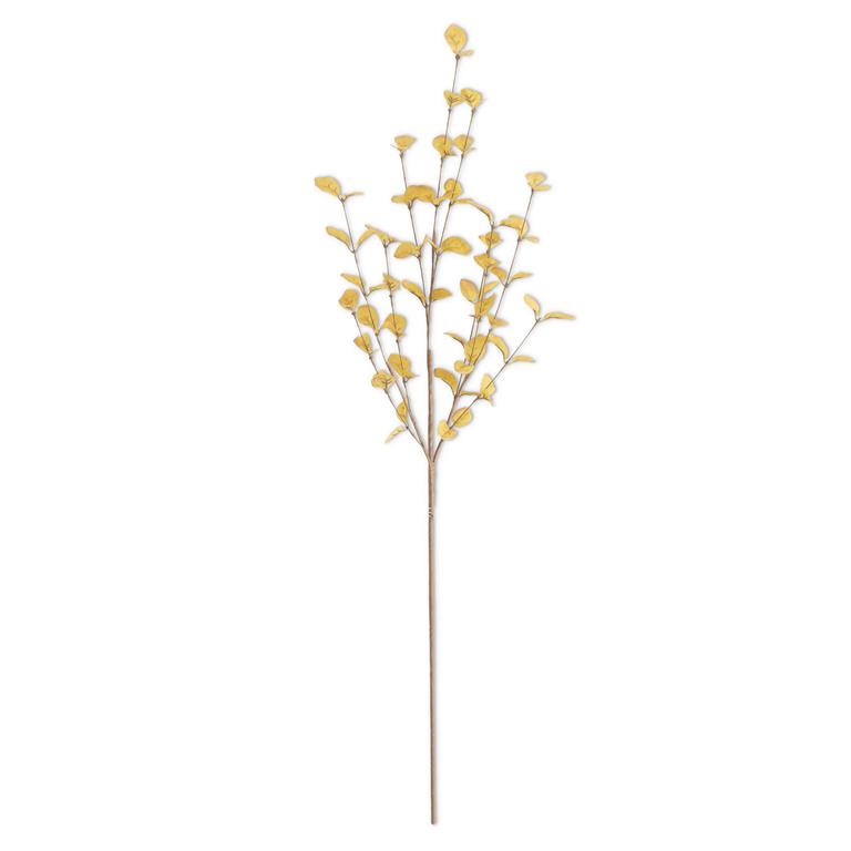 34" Yellow Eucalyptus Stem