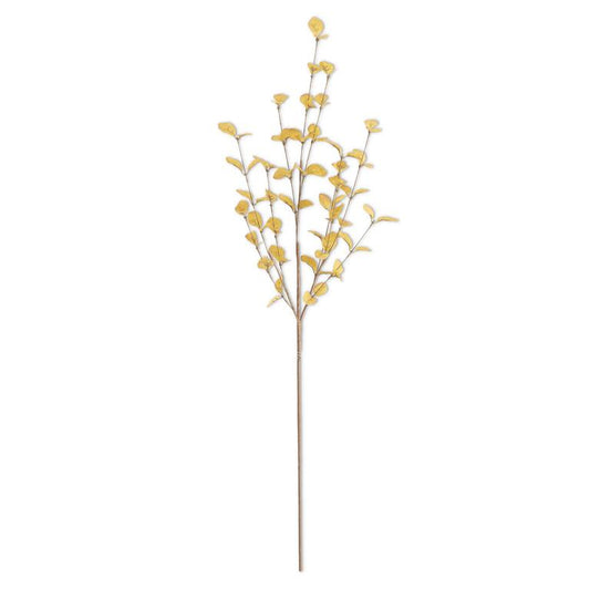 34" Yellow Eucalyptus Stem