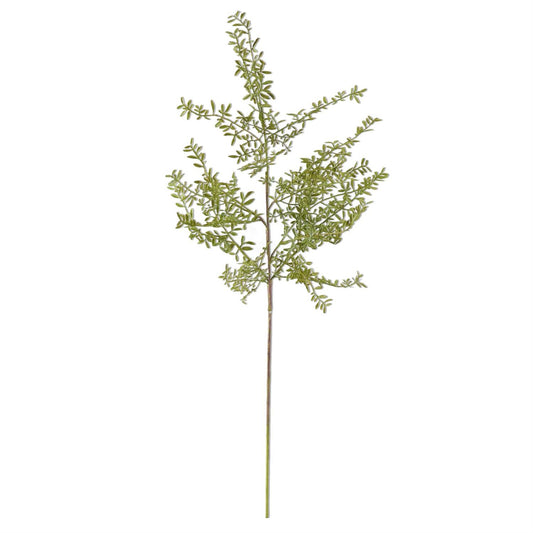 Myra Myrtle Greenery Branch