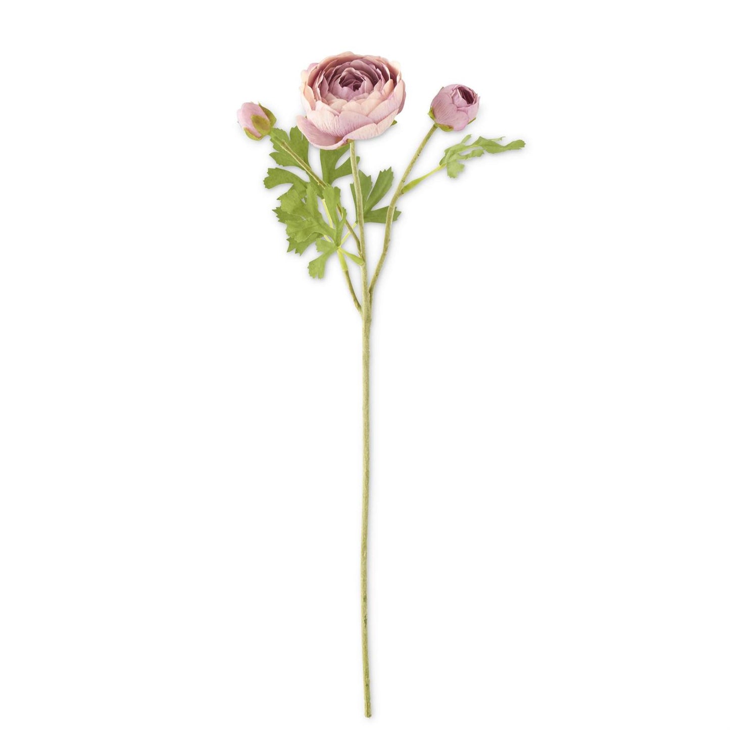 Light Purple Real Touch Ranunculus
