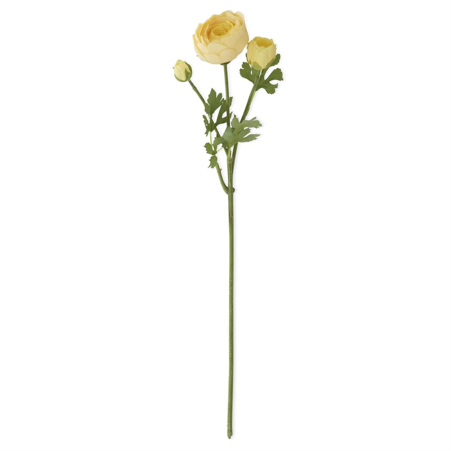 Yellow Real Touch Ranunculus