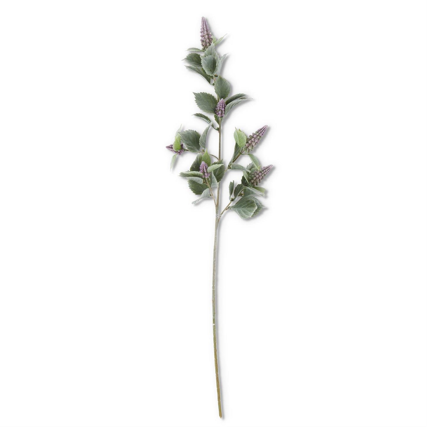 Purple Grape Hyacinth w/Flocked Stem & Leaves