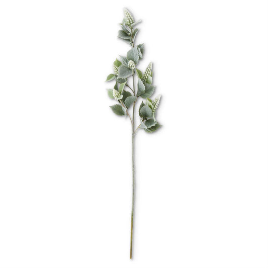 White Grape Hyacinth w/Flocked Stem & Leaves )