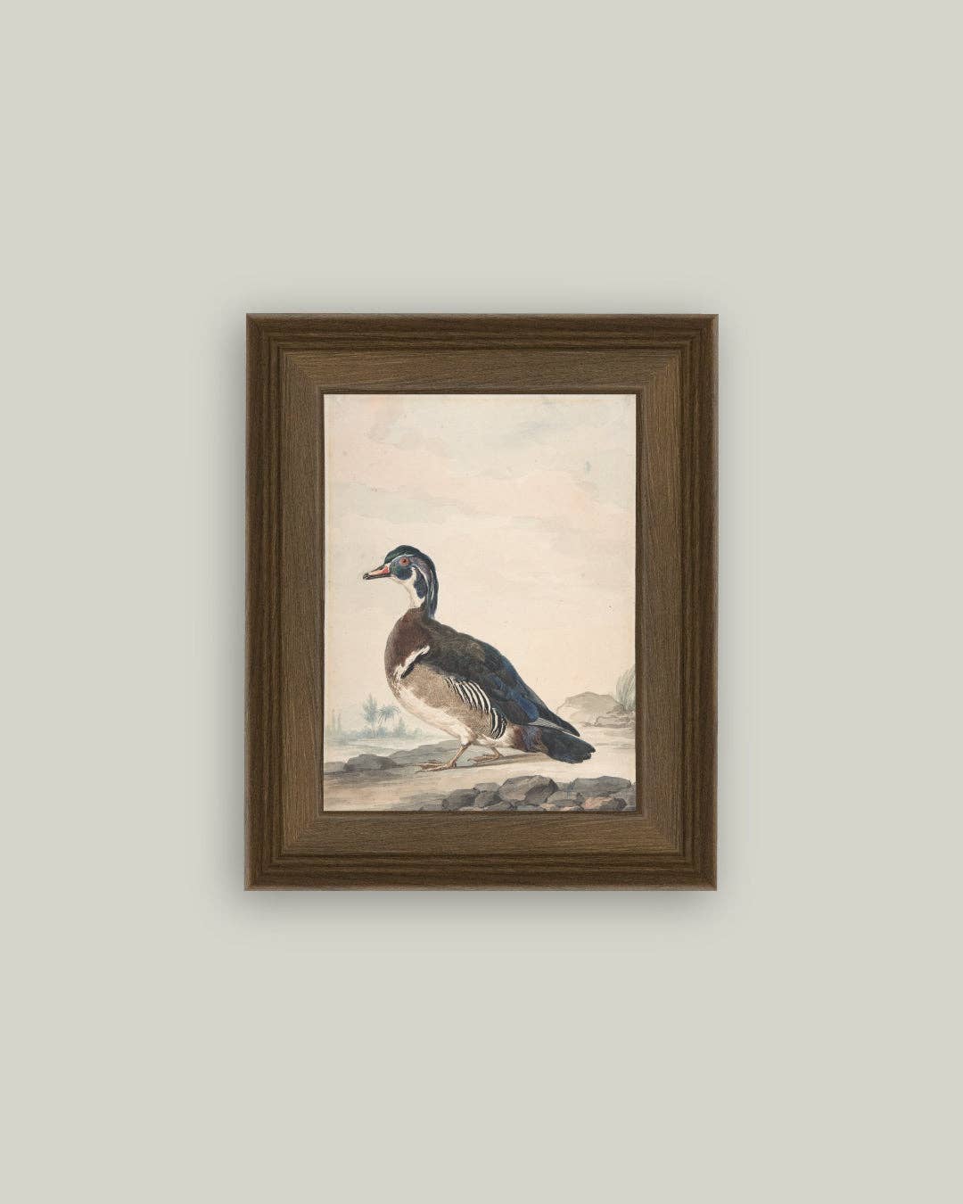 A Duck Framed Antique Art: 5x7