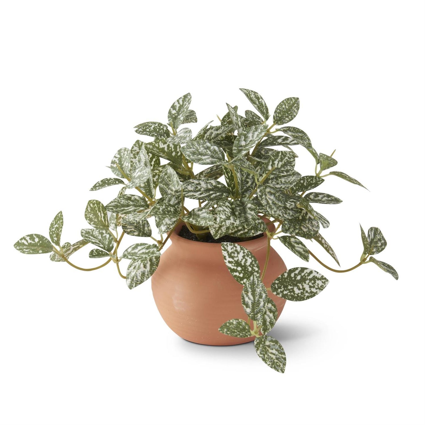 Little Potted Houseplants 3 Styles