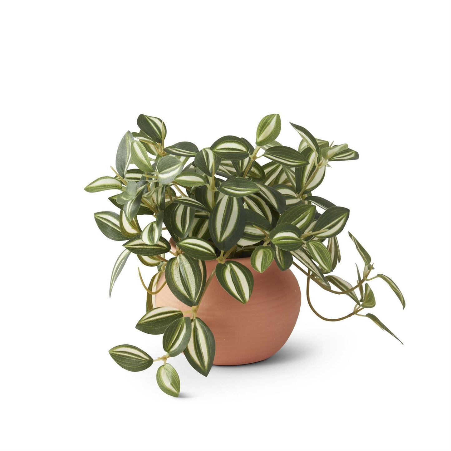Little Potted Houseplants 3 Styles