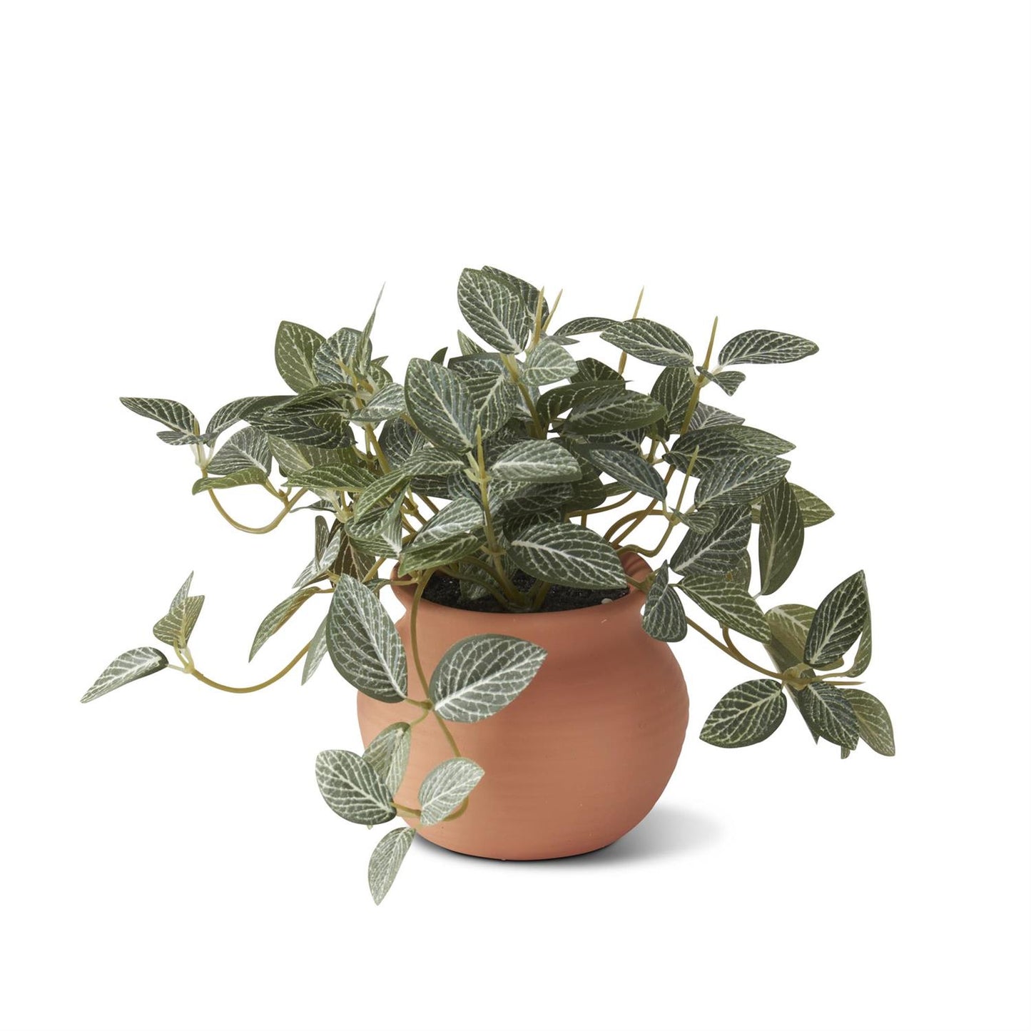 Little Potted Houseplants 3 Styles