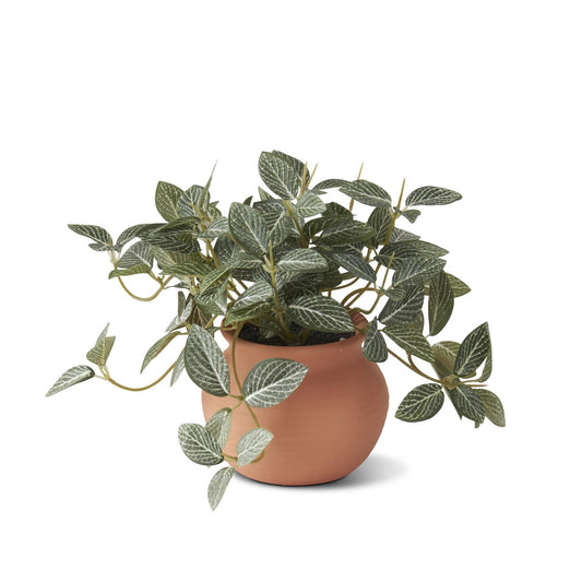 Little Potted Houseplants 3 Styles