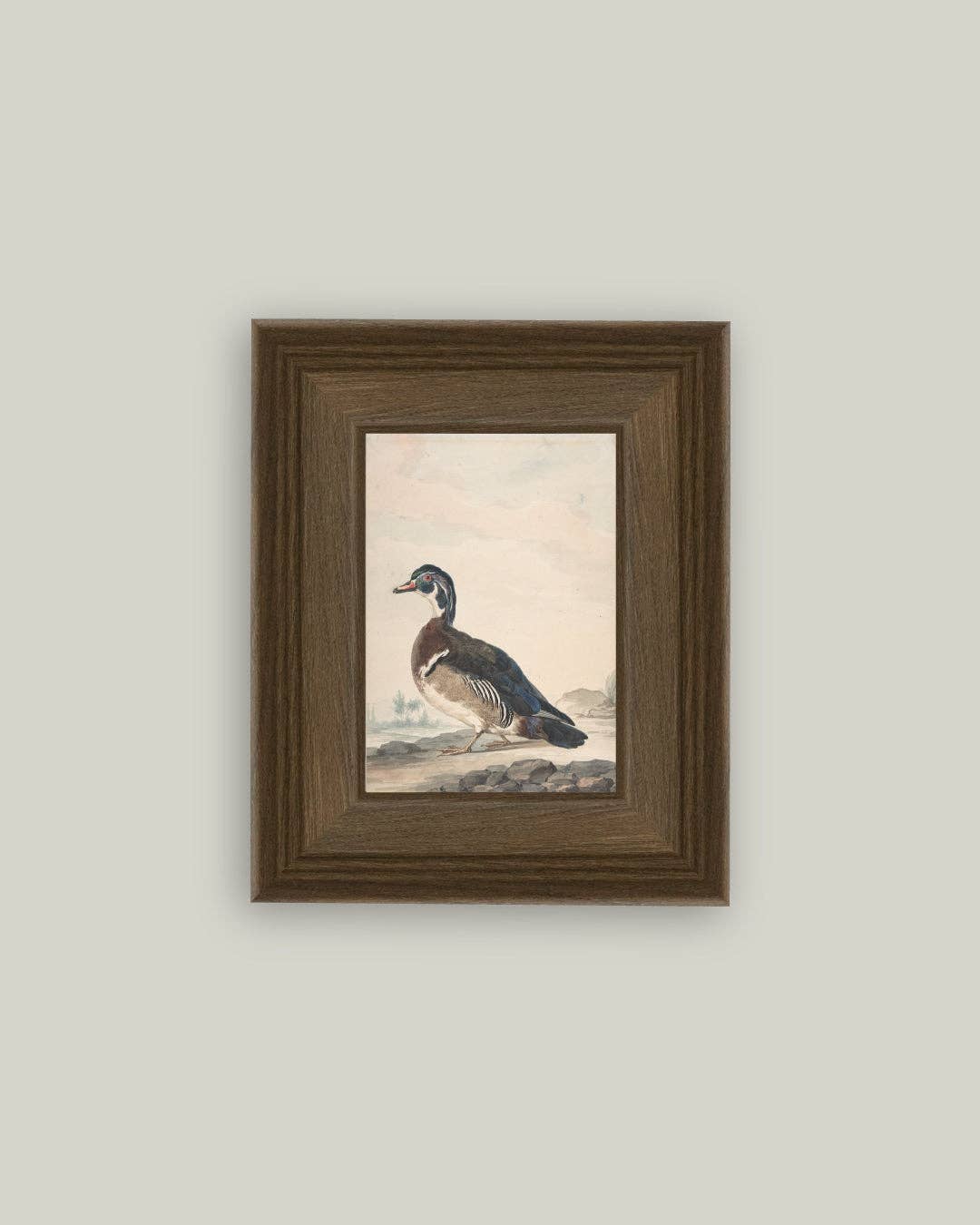 A Duck Framed Antique Art: 5x7