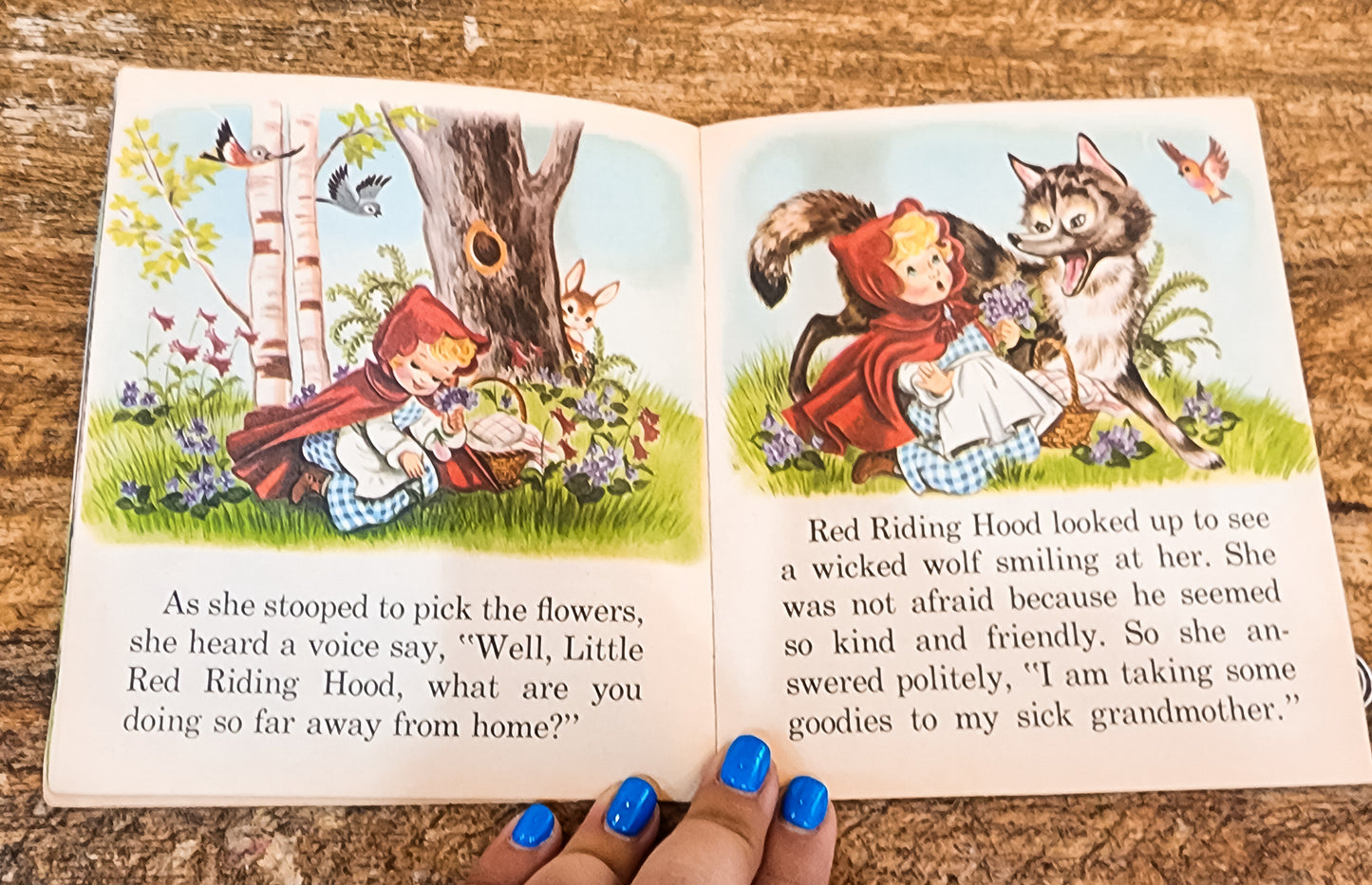 Paperback Little Red Riding Hood