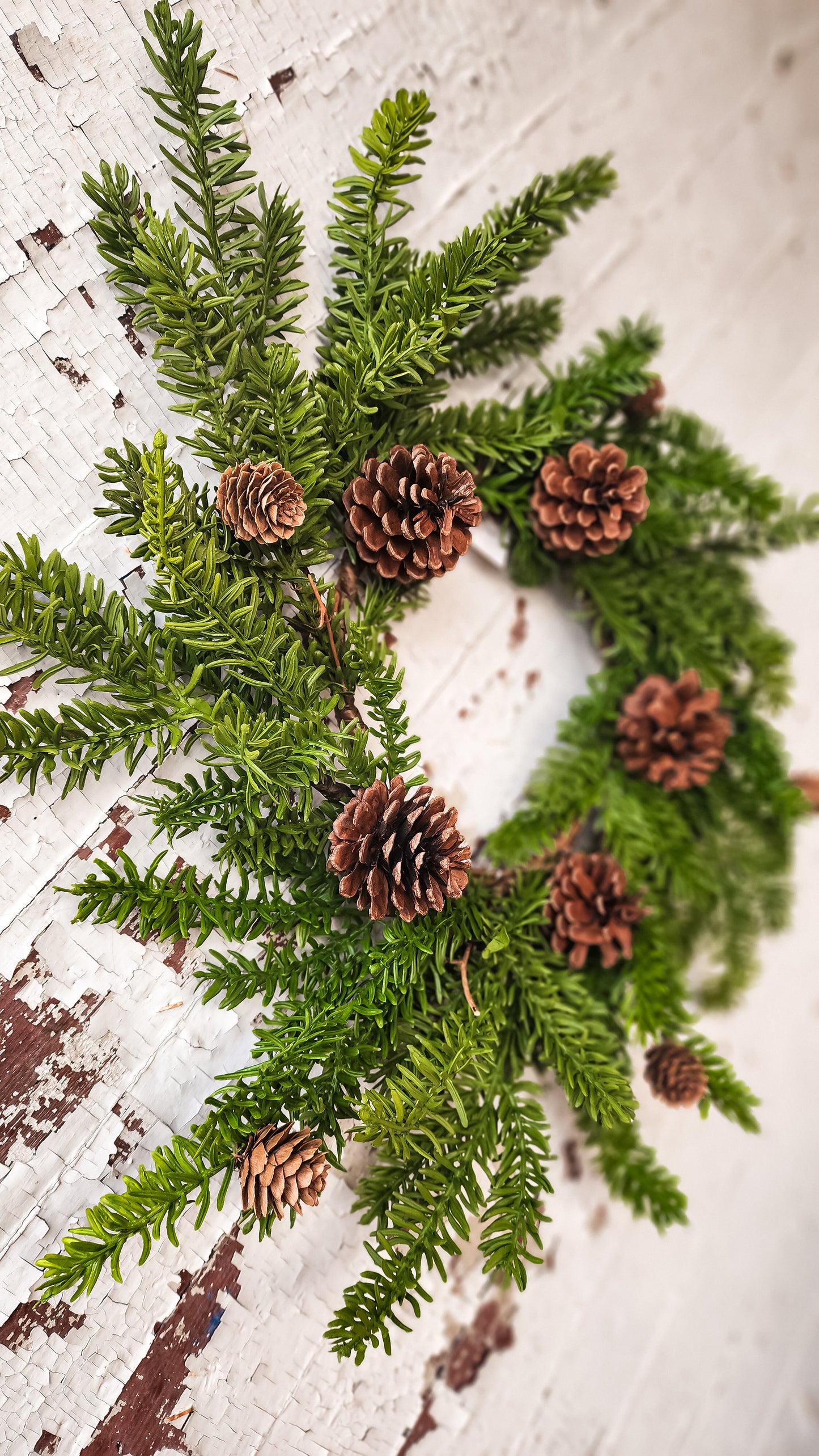 Noble Fir Wreath (Large Candle Ring)