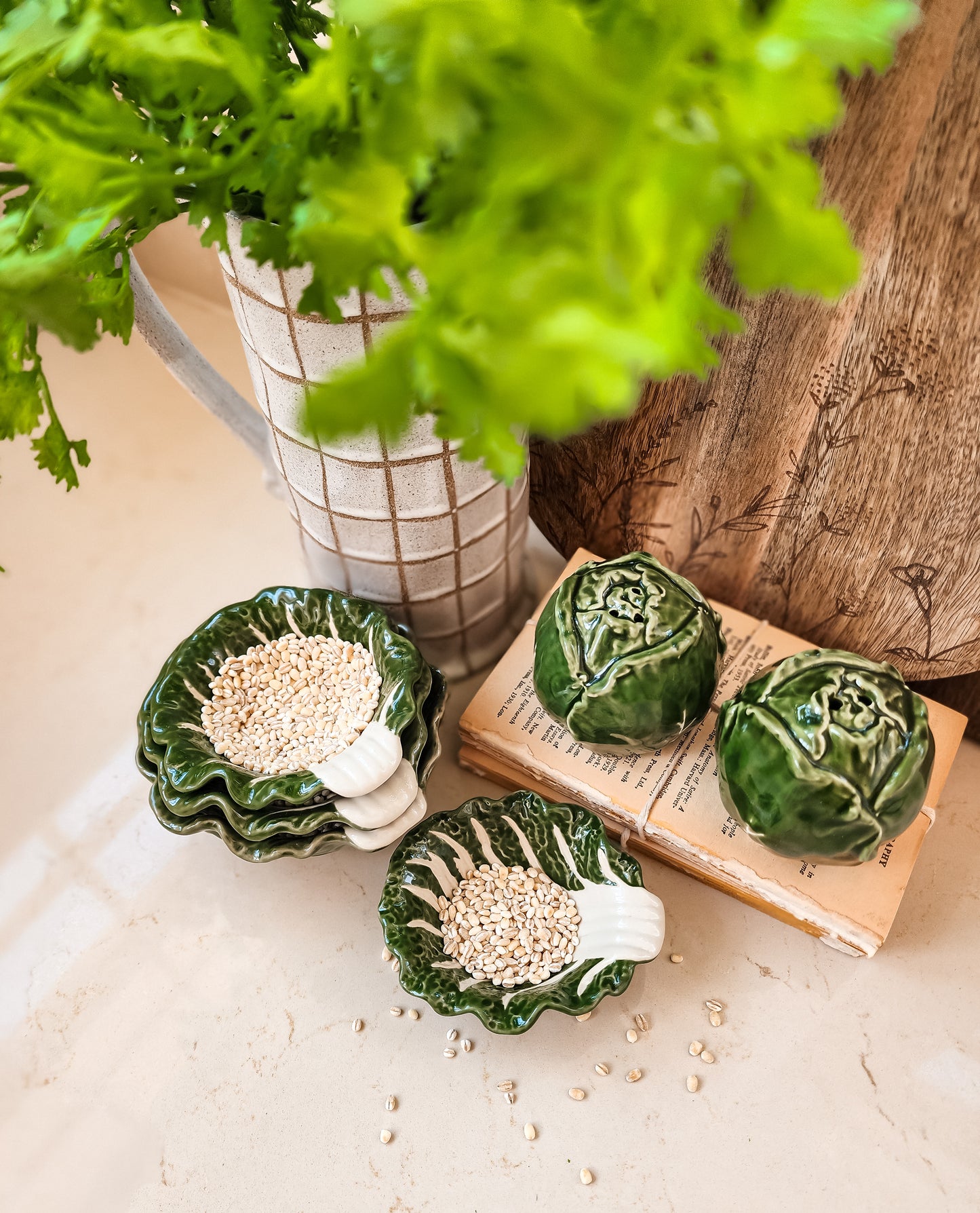 Cabbage Bowls (Assorted Sizes)