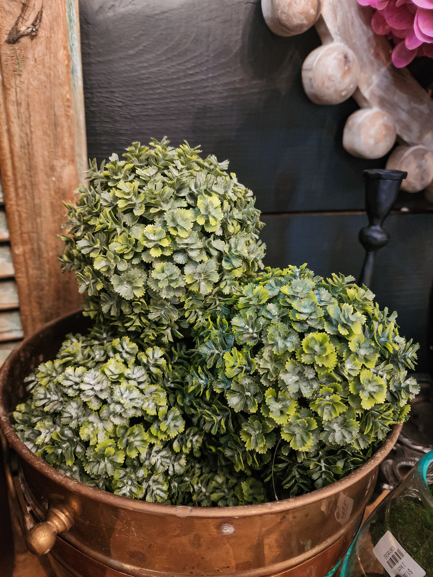 Creeping Sedum Ball