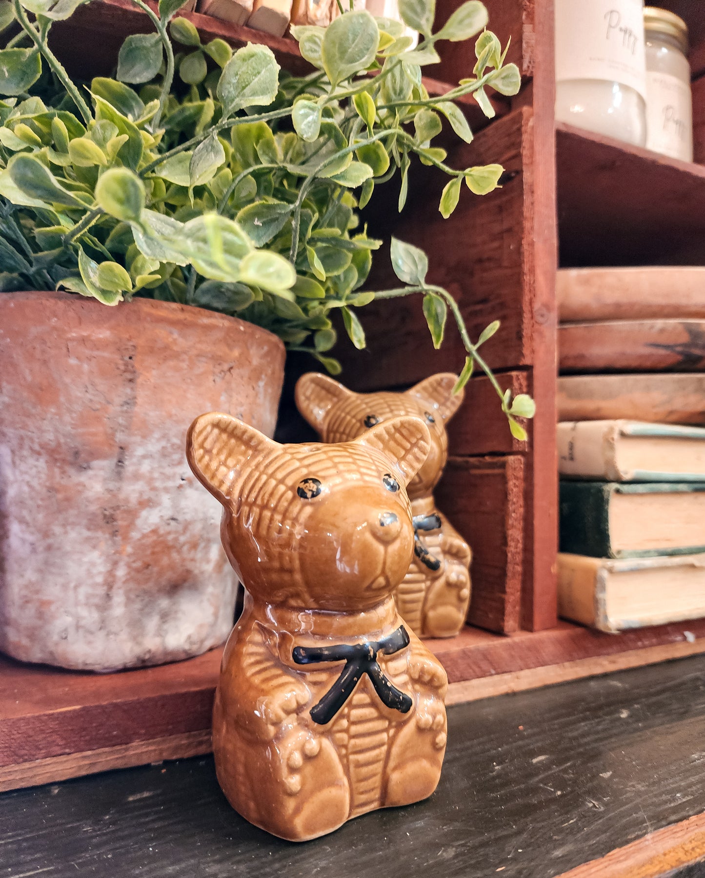 Teddy Bear Salt + Pepper Shaker Set (Vintage)