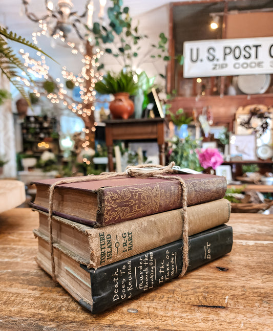 Stack Of 3 Books ( Tan Black + Red)