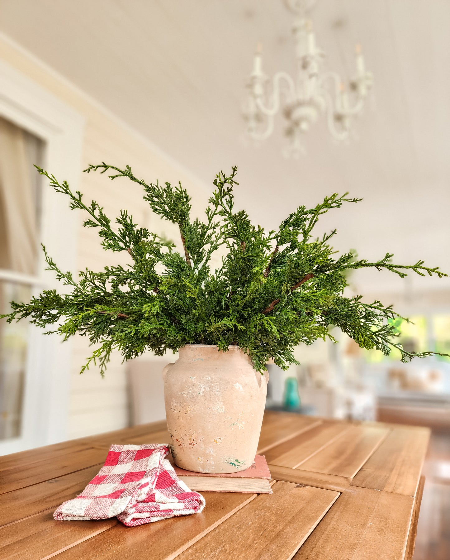 Winter Cedar Stems (Fresh Touch)