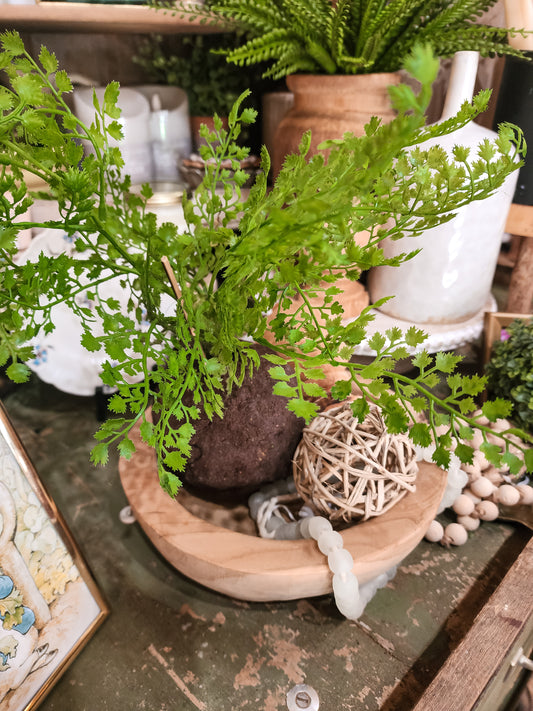 Rooted Maiden Hair Fern Ball