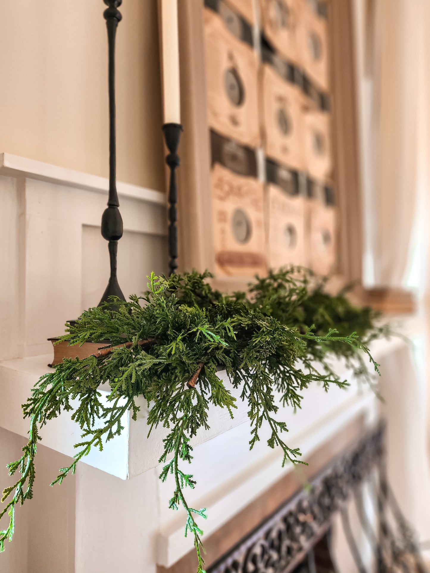 Winter Cedar Stems (Fresh Touch)