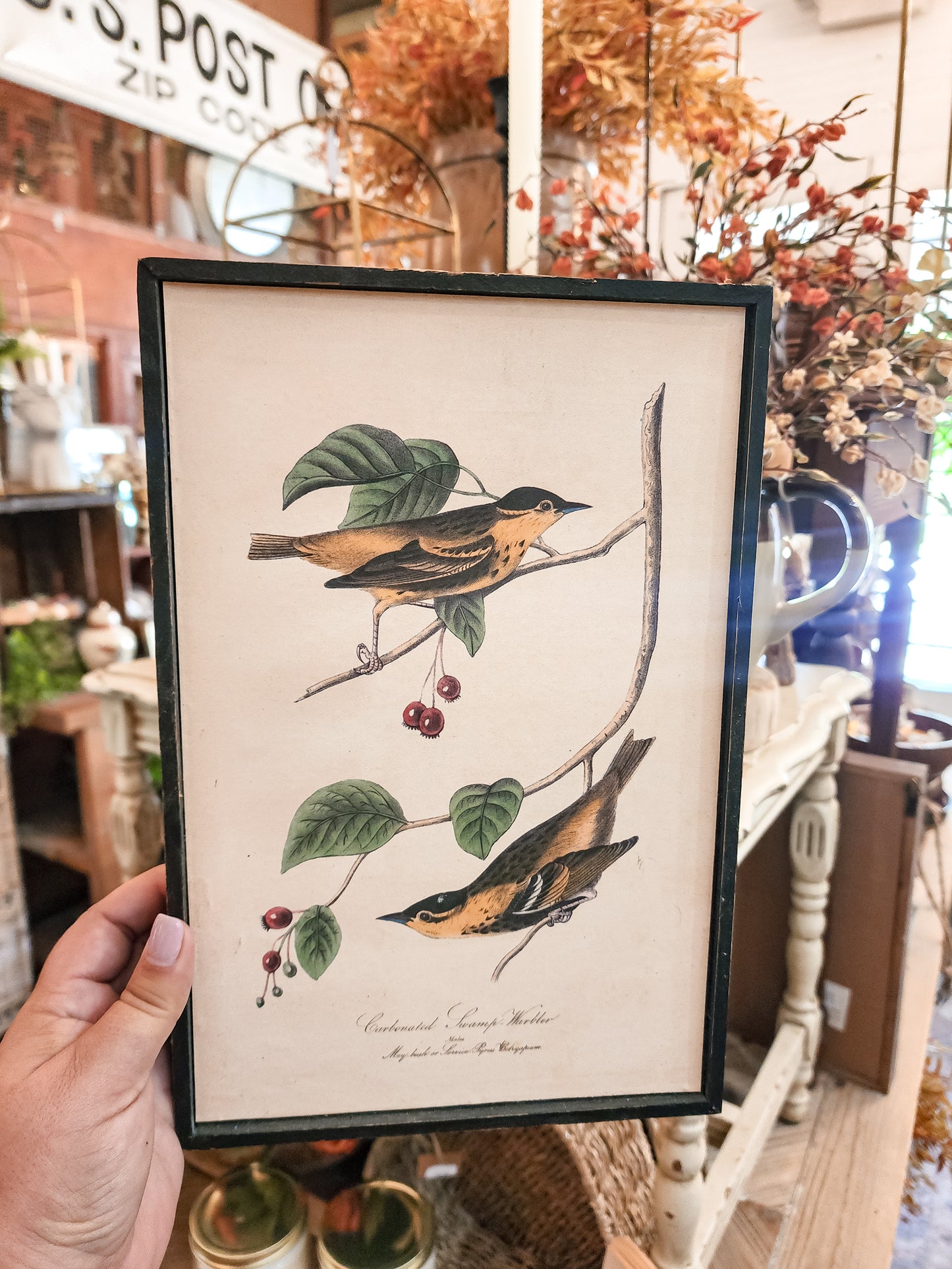 Reproduction Bird Frame Print