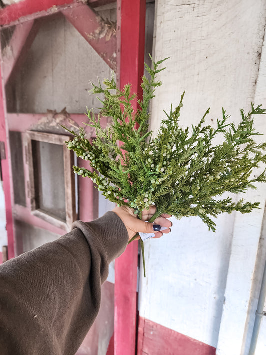 Mixed Juniper Bush