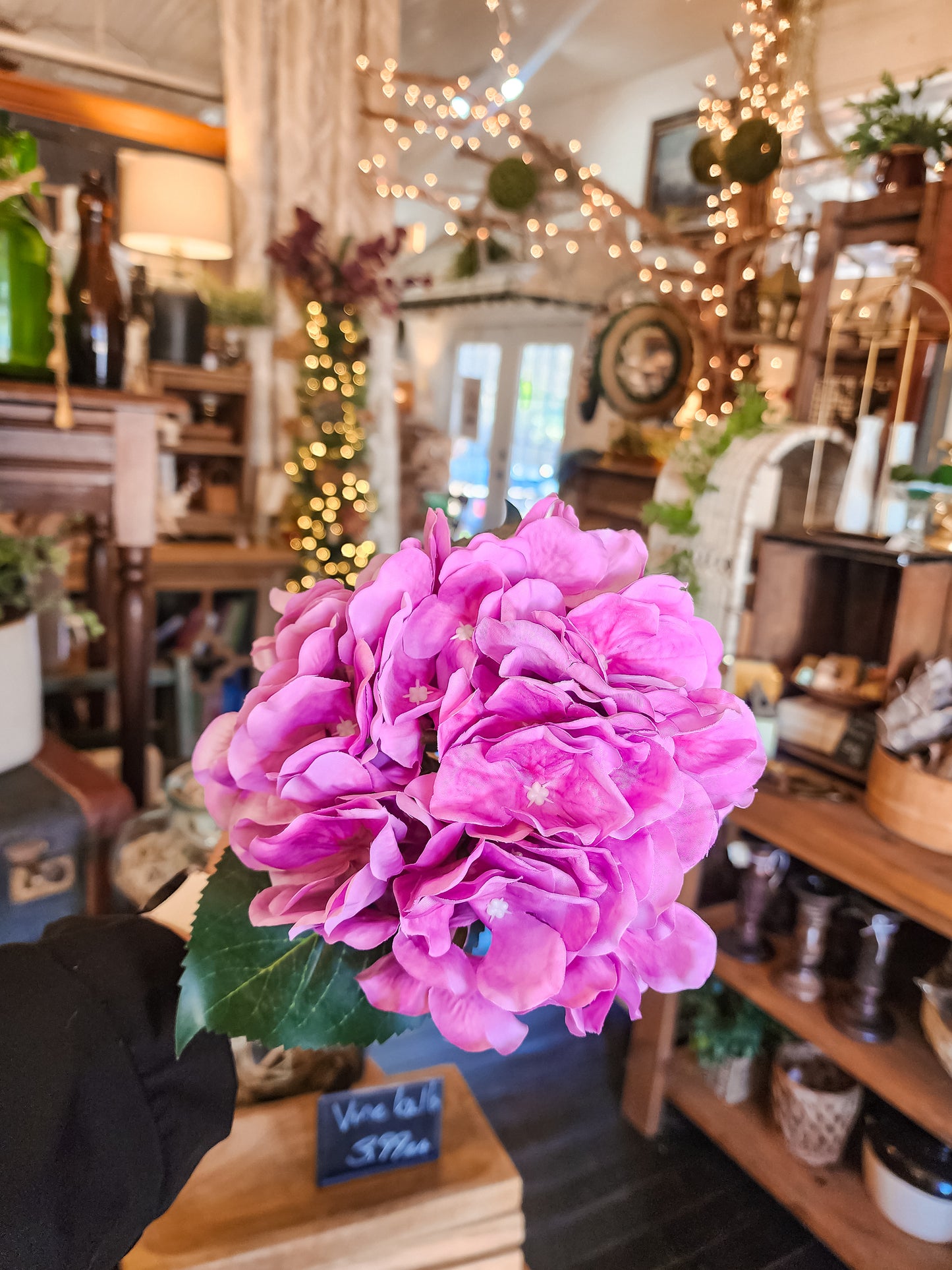 Maddy Blooming Hydrangeas (Assorted)