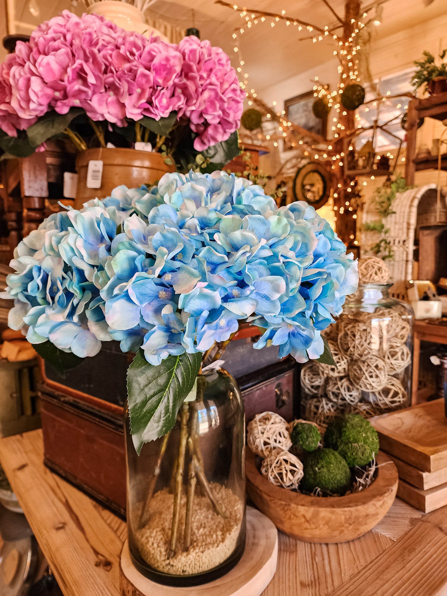 Maddy Blooming Hydrangeas (Assorted)