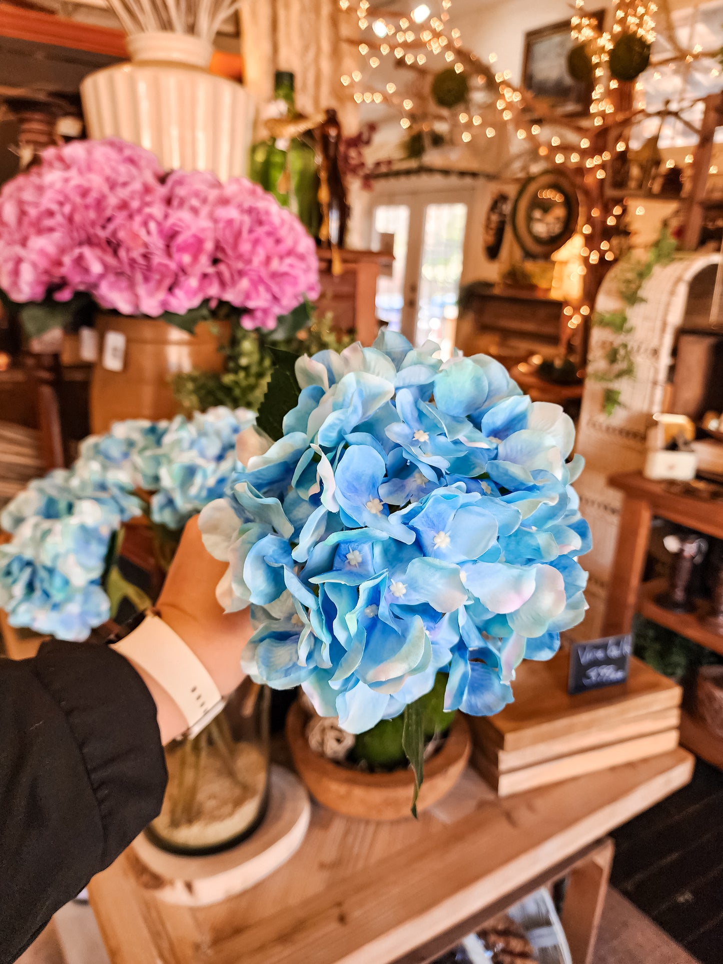 Maddy Blooming Hydrangeas (Assorted)