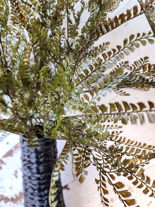 Jordie Long Fern Branch